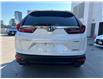 2020 Honda CR-V Black Edition (Stk: P26087A) in Toronto - Image 6 of 26