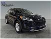 2020 Ford Escape SE (Stk: S9770A) in ROSETOWN - Image 1 of 17