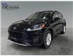 2020 Ford Escape SE (Stk: S9770A) in ROSETOWN - Image 7 of 17