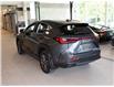 2026 Lexus NX 350 Base (Stk: 6860) in Kingston - Image 4 of 15