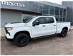 2023 Chevrolet Silverado 1500 LT Trail Boss (Stk: 24547) in Pembroke - Image 2 of 29