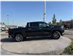 2026 GMC Sierra 1500 SLT (Stk: TG102064) in Calgary - Image 7 of 22