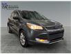 2016 Ford Escape SE (Stk: S9769A) in ROSETOWN - Image 1 of 17
