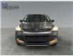 2016 Ford Escape SE (Stk: S9769A) in ROSETOWN - Image 8 of 17