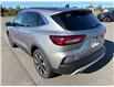 2024 Ford Escape Platinum (Stk: 24557A) in Oak Bay - Image 9 of 25
