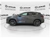 2026 Lexus NX 350  (Stk: 14111062) in Markham - Image 6 of 15