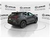 2026 Lexus NX 350  (Stk: 14111062) in Markham - Image 9 of 15