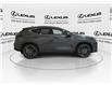 2026 Lexus NX 350  (Stk: 14111062) in Markham - Image 10 of 15