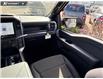 2025 Ford F-150 STX (Stk: 25T2598) in Red Deer - Image 24 of 24
