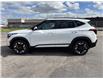 2026 Kia Seltos SX w/Black Interior (Stk: P6769A) in Brantford - Image 14 of 16