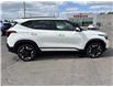2026 Kia Seltos SX w/Black Interior (Stk: P6769A) in Brantford - Image 16 of 16
