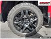 2024 Chevrolet Silverado 1500 LT Trail Boss (Stk: 104606) in Exeter - Image 6 of 29