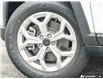 2025 Jeep Compass Sport (Stk: J5272) in Brantford - Image 6 of 25 2025 Jeep Compass Sport (Stk: J5272) in Brantford - Image 6 of 25