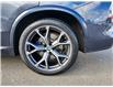 2019 BMW X5 xDrive40i (Stk: J25054-1) in Brandon - Image 22 of 24