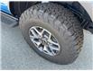 2025 Ford Bronco Badlands (Stk: E9B84982) in Richmond - Image 6 of 25