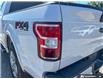 2019 Ford F-150 XLT (Stk: D5F166A) in Oakville - Image 12 of 27