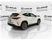 2026 Lexus NX 350  (Stk: 14111080) in Markham - Image 9 of 15