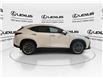 2026 Lexus NX 350  (Stk: 14111080) in Markham - Image 10 of 15