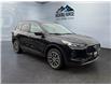 2025 Ford Escape PHEV (Stk: 15132) in Golden - Image 3 of 17