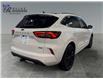 2025 Ford Escape ST-Line Elite (Stk: S9798) in ROSETOWN - Image 3 of 17