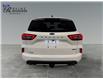 2025 Ford Escape ST-Line Elite (Stk: S9798) in ROSETOWN - Image 4 of 17