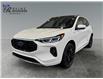 2025 Ford Escape ST-Line Elite (Stk: S9798) in ROSETOWN - Image 7 of 17