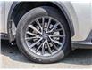 2024 Lexus NX 250 Base (Stk: 6361) in Welland - Image 24 of 24