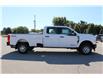 2026 Ford F-250 XL (Stk: LT261) in Harrow - Image 4 of 12