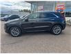2024 Cadillac XT4 Premium Luxury (Stk: 24-263) in Pembroke - Image 2 of 21