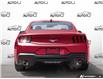 2025 Ford Mustang EcoBoost (Stk: D5G047) in Oakville - Image 5 of 23