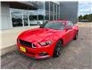 2016 Ford Mustang EcoBoost (Stk: 24527) in Pembroke - Image 4 of 21