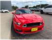 2016 Ford Mustang EcoBoost (Stk: 24527) in Pembroke - Image 6 of 21