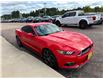 2016 Ford Mustang EcoBoost (Stk: 24527) in Pembroke - Image 7 of 21