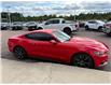 2016 Ford Mustang EcoBoost (Stk: 24527) in Pembroke - Image 8 of 21