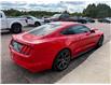 2016 Ford Mustang EcoBoost (Stk: 24527) in Pembroke - Image 10 of 21