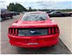 2016 Ford Mustang EcoBoost (Stk: 24527) in Pembroke - Image 11 of 21