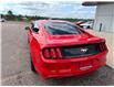 2016 Ford Mustang EcoBoost (Stk: 24527) in Pembroke - Image 12 of 21