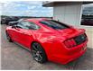 2016 Ford Mustang EcoBoost (Stk: 24527) in Pembroke - Image 13 of 21