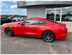 2016 Ford Mustang EcoBoost (Stk: 24527) in Pembroke - Image 14 of 21
