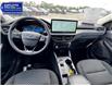 2025 Ford Escape Active (Stk: ES49219) in Windsor - Image 15 of 28