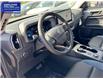 2025 Ford Bronco Sport Outer Banks (Stk: BR11764) in Windsor - Image 19 of 27