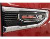 2020 GMC Sierra 1500 Denali (Stk: S1652A) in Watrous - Image 15 of 49