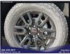 2026 GMC Sierra 1500 Elevation (Stk: 26LD7845) in Unity - Image 17 of 17