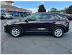 2023 Ford Escape Active (Stk: PR78705) in Windsor - Image 4 of 26