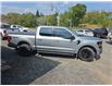 2025 Ford F-150 XLT (Stk: ZXLT) in Sudbury - Image 6 of 22 2025 Ford F-150 XLT (Stk: ZXLT) in Sudbury - Image 6 of 22
