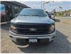 2025 Ford F-150 XLT (Stk: ZXLT) in Sudbury - Image 8 of 22 2025 Ford F-150 XLT (Stk: ZXLT) in Sudbury - Image 8 of 22