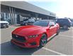 2024 Ford Mustang EcoBoost Premium (Stk: 35145A) in Scarborough - Image 1 of 18