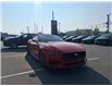 2024 Ford Mustang EcoBoost Premium (Stk: 35145A) in Scarborough - Image 7 of 18