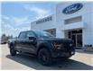 2025 Ford F-150 XLT (Stk: 25T896) in CRESTON - Image 1 of 25