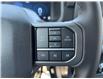 2025 Ford F-150 XLT (Stk: 25T896) in CRESTON - Image 21 of 25